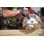 Аккумулятор Milwaukee M18 FB6 - 4932492533, Модель: M18 FB6, фото, изображение 2 Аккумулятор Milwaukee M18 FB6 - 4932492533, Модель: M18 FB6, внеший вид, изображение 2