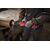 Аккумуляторная прямошлифовальная машина Milwaukee M18 FDGROVPDB-0X - 4933480957, фото, изображение 10 Аккумуляторная прямошлифовальная машина Milwaukee M18 FDGROVPDB-0X - 4933480957, внеший вид, изображение 10