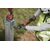 Аккумуляторный импульсный гайковерт Milwaukee M18 ONEFIW2FC12-0X - 4933493412, Модель: M18 ONEFIW2FC12-0X, внеший вид, изображение 4