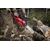 Аккумуляторная цепная пила Milwaukee M18 F2CHS50-0 - 4933480120, Модель: M18 F2CHS50-0, внеший вид, изображение 32