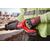 Рабочие перчатки Milwaukee PAD PRO CUT D GLOVES 7／S - 4932498501, Модель: PAD PRO CUT D GLOVES 7／S, внеший вид, изображение 3
