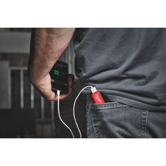 Энергокомплект Milwaukee L4 PPS-301 - 4932493335, внеший вид, изображение 7