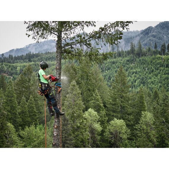 Аккумуляторная цепная пила с верхней рукояткой Milwaukee M18 FTHCHS35-802-II - 4933499222, Модель: M18 FTHCHS35-802-II, внеший вид, изображение 18