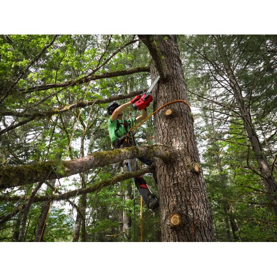 Аккумуляторная цепная пила с верхней рукояткой Milwaukee M18 FTHCHS35-802-II - 4933499222, Модель: M18 FTHCHS35-802-II, внеший вид, изображение 21